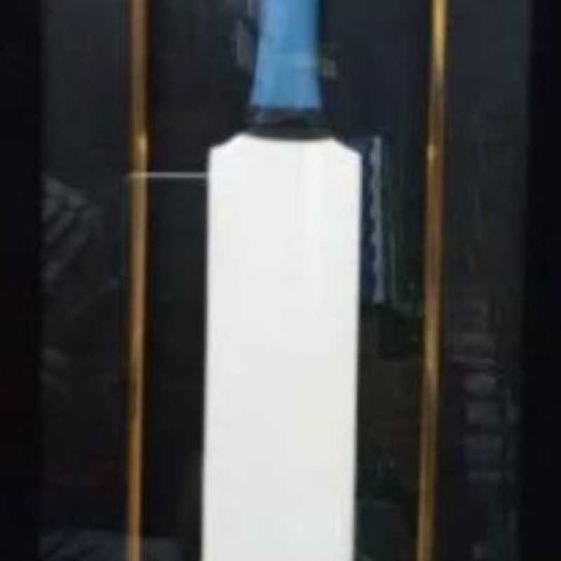 SIGNATURE BAT